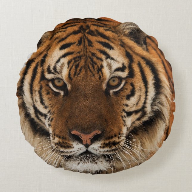 Hoofd van de tijger van Siberië Rond Kussen (Voorkant)