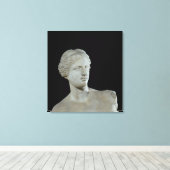 Hoofd van de Venus de Milo, c.100 BC Canvas Afdruk (Insitu (Houten vloer))