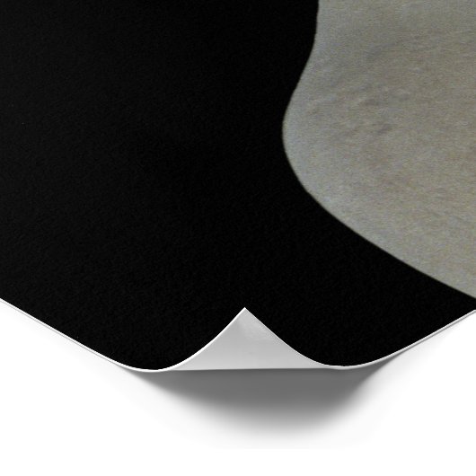 Hoofd van de Venus de Milo, c.100 BC Poster (Hoek)