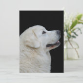 Hoofd van de verbluffende Poolse Tatra herdershond Bedankkaart (Staand voorkant)