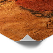 Hoofd van een Bison Altamira Cave Poster (Hoek)