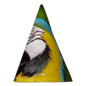 Hoofd van een Blauwe en Gele Macaw Feesthoedjes (Rechts)
