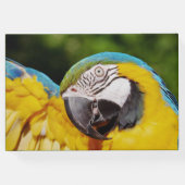 Hoofd van een Blauwe en Gele Macaw Gastenboek (Achterkant)