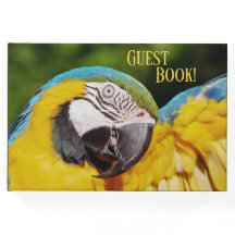 Hoofd van een Blauwe en Gele Macaw