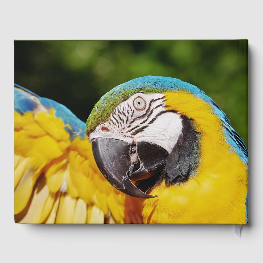 Hoofd van een Blauwe en Gele Macaw Gastenboek (Achterkant)