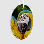 Hoofd van een Blauwe en Gele Macaw Ornament (voorkant)