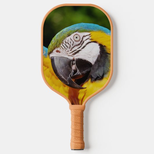 Hoofd van een Blauwe en Gele Macaw Pickleball Paddle (Voorkant)