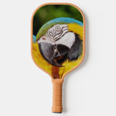 Hoofd van een Blauwe en Gele Macaw Pickleball Paddle (Achterkant)