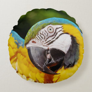 Hoofd van een Blauwe en Gele Macaw Rond Kussen