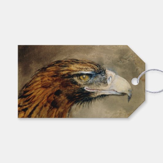 Hoofd van een Golden Eagle (door John Ruskin) Cadeaulabel (Voorkant (Horizontaal))