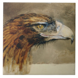 Hoofd van een Golden Eagle (door John Ruskin) Tegeltje