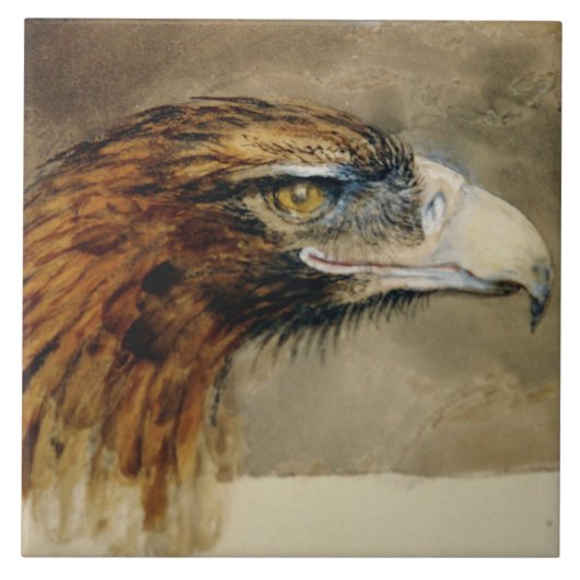 Hoofd van een Golden Eagle (door John Ruskin) Tegeltje (Voorkant)