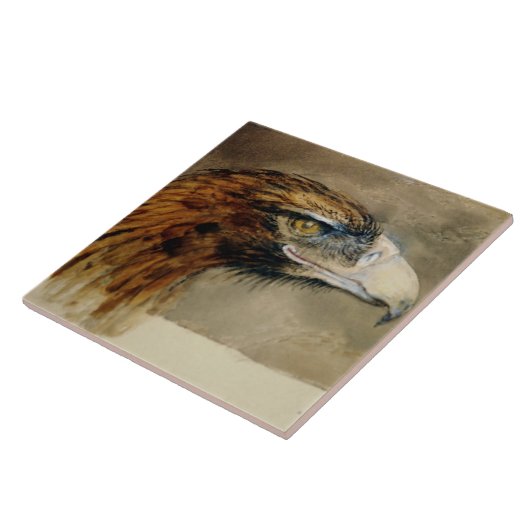Hoofd van een Golden Eagle (door John Ruskin) Tegeltje (Zijkant)