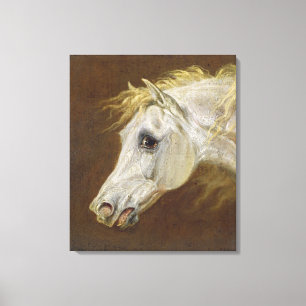 Hoofd van een Gray Arabian Horse (olie op doek op  Canvas Afdruk
