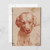 Hoofd van een hond briefkaart (Voorkant / Achterkant)