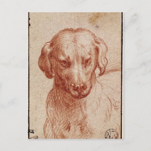 Hoofd van een hond briefkaart (Voorkant)