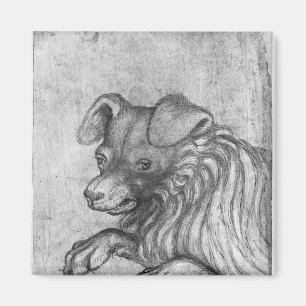 Hoofd van een hond uit het Album van de Vallardi Magneet