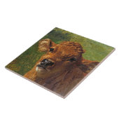 Hoofd van een kalf (door Rosa Bonheur) Tegeltje (Zijkant)