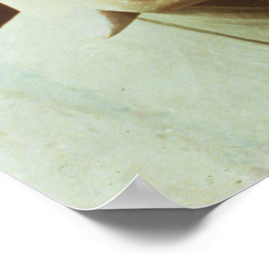 Hoofd van een krijger, het leger van Terracotta Poster (Hoek)