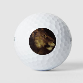 Hoofd van een leeuw (in het wild levende dieren) golfballen