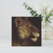 Hoofd van een leeuw (in het wild levende dieren) kaart (Staand voorkant)