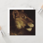 Hoofd van een leeuw (in het wild levende dieren) kaart (Voorkant / Achterkant in situ)