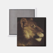 Hoofd van een leeuw (in het wild levende dieren) magneet (Voorkant / Achterkant)