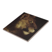 Hoofd van een leeuw (in het wild levende dieren) tegeltje (Zijkant)