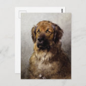 Hoofd van een Leonberger Dog Painting Briefkaart (Voorkant / Achterkant)