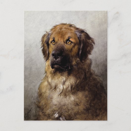 Hoofd van een Leonberger Dog Painting Briefkaart (Voorkant)