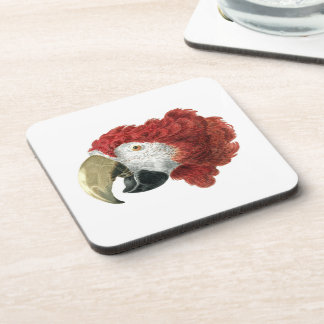 Hoofd van een Macaw (1725-1792) Aert Schouman Bier Onderzetter