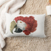 Hoofd van een Macaw (1725-1792) Aert Schouman Kussen (Deken)