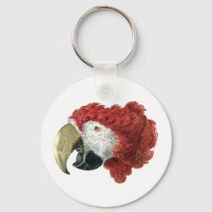 Hoofd van een Macaw (1725-1792) Aert Schouman Sleutelhanger