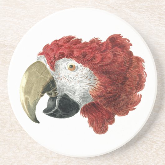 Hoofd van een Macaw (1725-1792) Aert Schouman Zandsteen Onderzetter (Voorkant)