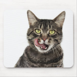 Hoofd van een mannelijk tafeltje, kattenlikkend muismat