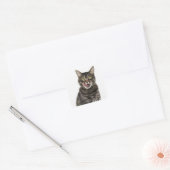 Hoofd van een mannelijk tafeltje, kattenlikkend vierkante sticker (Envelop)