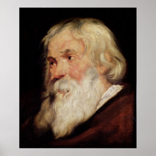 Hoofd van een oud Man Poster