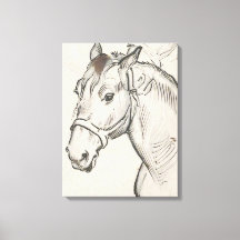 Hoofd van een paard (door Alfred Dehodencq)