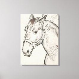 Hoofd van een paard (door Alfred Dehodencq) Canvas Afdruk
