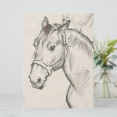 Hoofd van een paard (door Alfred Dehodencq) Kaart (Staand voorkant)