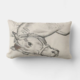 Hoofd van een paard (door Alfred Dehodencq) Kussen