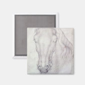 Hoofd van een paard magneet (Voorkant / Achterkant)