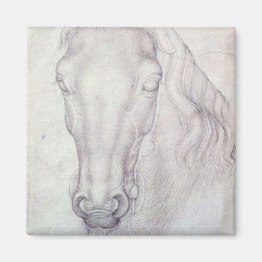 Hoofd van een paard magneet (Voorkant)