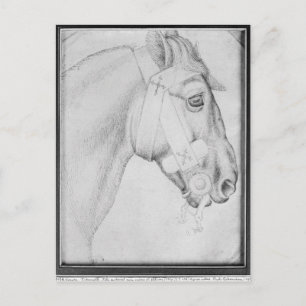 Hoofd van een paard, van het Album Vallardi Briefkaart