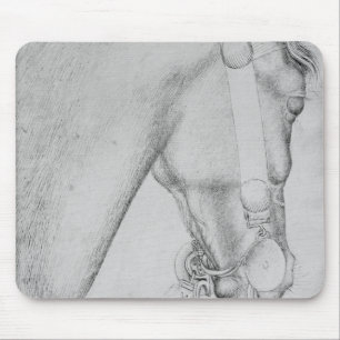 Hoofd van een paard, van het Album van de Vallardi Muismat