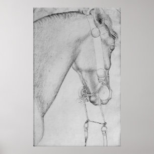 Hoofd van een paard, van het Album van de Vallardi Poster