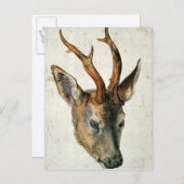 Hoofd van een Roe Deer Briefkaart (Voorkant / Achterkant)