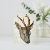 Hoofd van een Roe Deer Briefkaart (Staand voorkant)