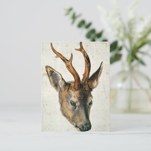 Hoofd van een Roe Deer Briefkaart (Staand voorkant)