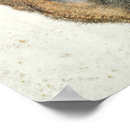 Hoofd van een Roe Deer Poster (Hoek)